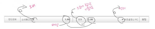 토토사이트 스포츠토토_노하우 스포츠토토존